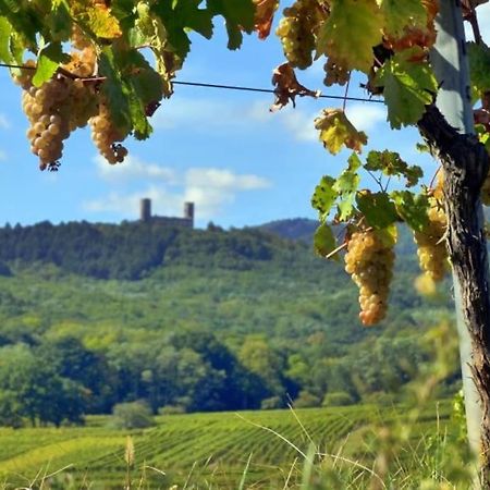 Appartement Cosy - Centre De Barr - Route Des Vins מראה חיצוני תמונה